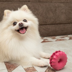 Brinquedo Amicus Fun Toys Donuts Rosa para Cães