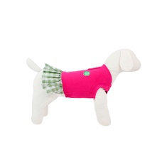 Vestido Bonito pra Cachorro Frutinhas Limão para Cães