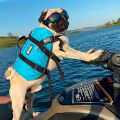 Colete Salva Vidas Náutica Ativa Pet Vest Rosa para Cães