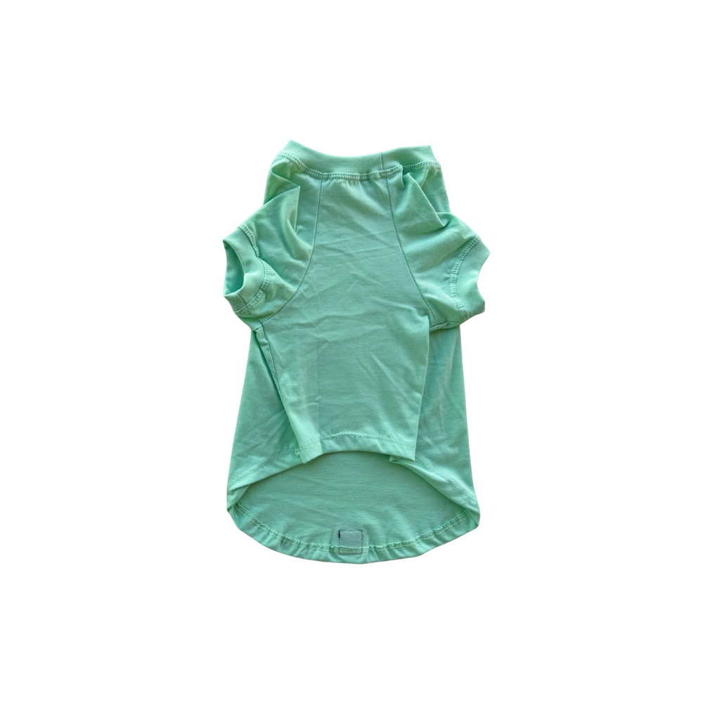 Camiseta Snoopy Rollin Verde para Cães