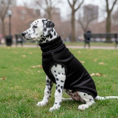 Blusa Fábrica Pet Veludo Preto para Cães e Gatos