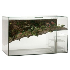 Terrário Aquaterrário para Tartaruga Com Filtro Interno