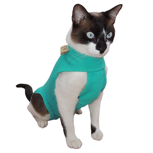 Roupa Cirúrgica Pet Med Para Gatos Verde
