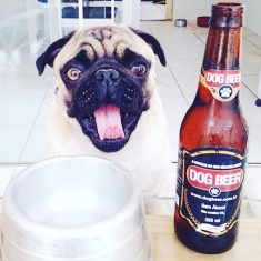 Cerveja para Cães Dogbeer Sabor Carne - 355ml