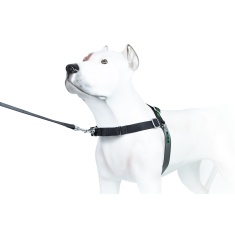 Peitoral K9 Spirit Treinamento para Cães Preto