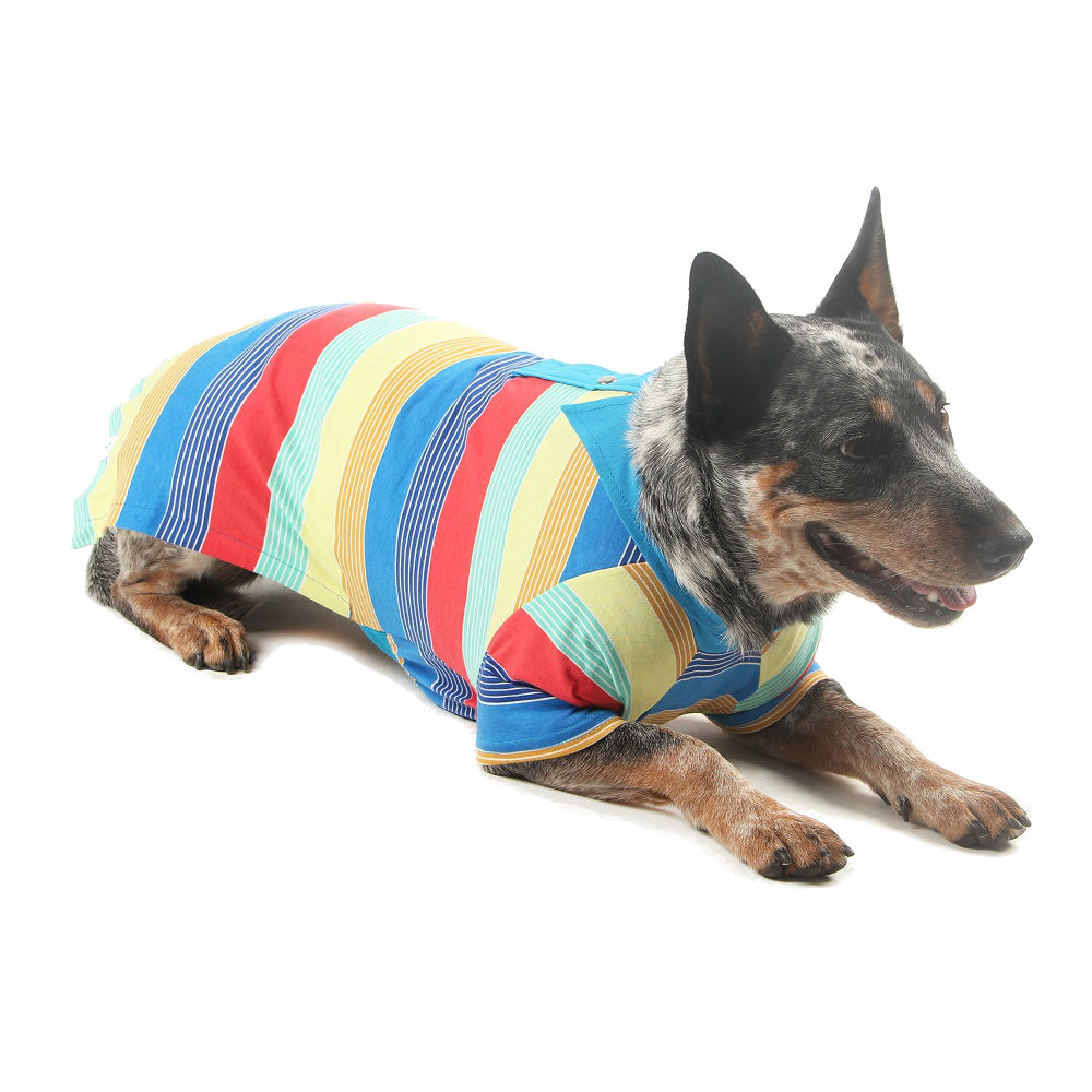 Blusa Pickorruchos Polo Azul