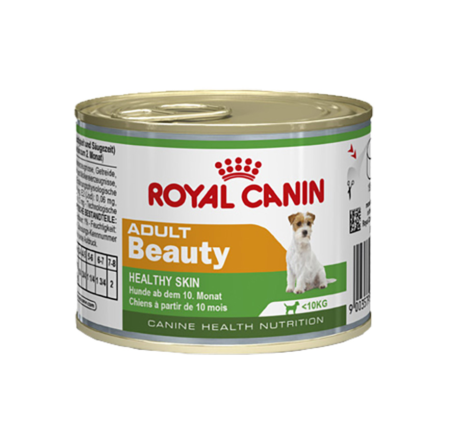 Box de Ração Royal Canin Mini para Cães Adultos 2,5kg