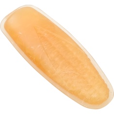 Brinquedo Ferplast Goodbite Tiny & Natural Para Roedores Milho
