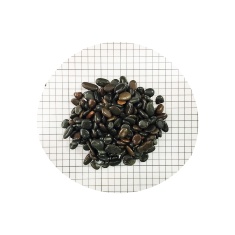 Substrato Soma Para Aquário Pebble Black - 1kg