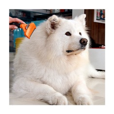 Rasqueadeira Furminator Laranja para Cães de Médio Porte e Pelo Curto