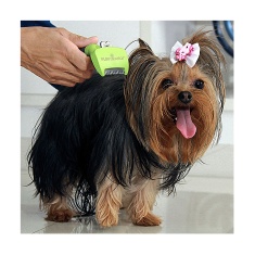 Rasqueadeira Furminator Verde para Cães de Pequeno Porte e Pelo Longo