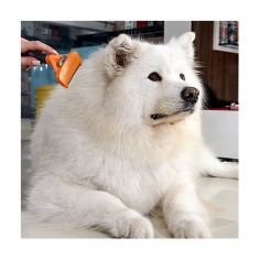 Rasqueadeira Furminator Laranja para Cães de Médio Porte e Pelo Longo