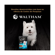 Ração Úmida Cesar Sachê Cortes Selecionados Cordeiro Assado ao Molho para Cães Adultos 85 g