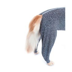 Roupa Protetora Para Membros Posteriores Pet Med Duo Dry para Cães