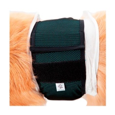 Roupa Protetora Pet Med para Fraldas de Cães Machos Verde