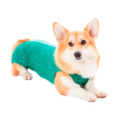 Roupa Cirúrgica Pet Med Duo Dry Regular Verde para Cães