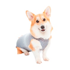 Roupa Cirúrgica Pet Med Ultra Light Regular Geo Cinza para Cães