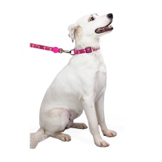 Guia Zooz Pets Snoopy Pink Flower para Cães Tamanho G