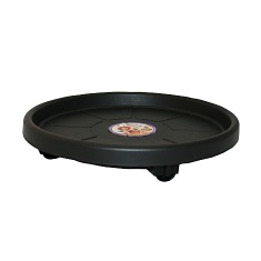Prato com Rodas Okla Skate Preto para Jardim