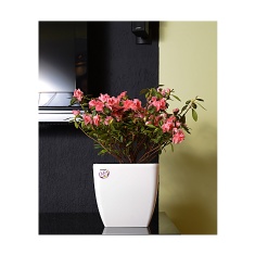 Vaso Okla Oxford Quadrado Branco para Jardim