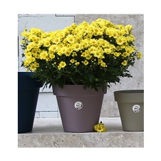 Vaso Okla Bari Violeta Vintage para Jardim