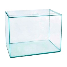 Aquário Aquaterrário Retangular para Peixes - 19 L