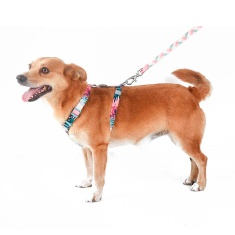 Peitoral H e Guia Toh Laguna para Cães