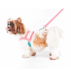 Peitoral e Guia Toh Tradicional Fuji para Cães