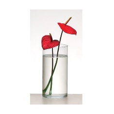 Vaso Luvidarte Cilindro Transparente