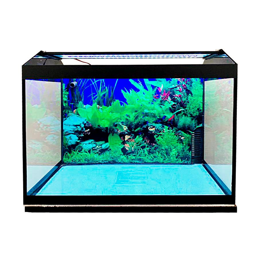Aquário Lester Top 60 com Painel 72L
