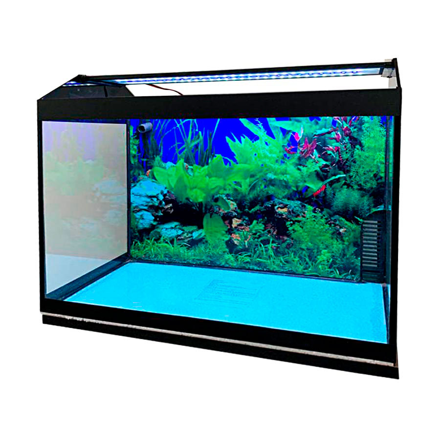 Aquário Lester Top 60 com Painel 72L