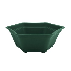 Vaso Desli para Suculenta/Bonsai com Prato Verde