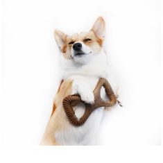 Benebone Dental Chew Amendoim