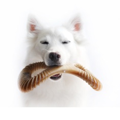 Benebone Dental Chew Amendoim