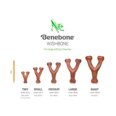 Benebone Wishbone Frango