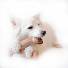 Benebone Wishbone Frango