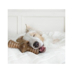 Benebone Zaggler Bacon