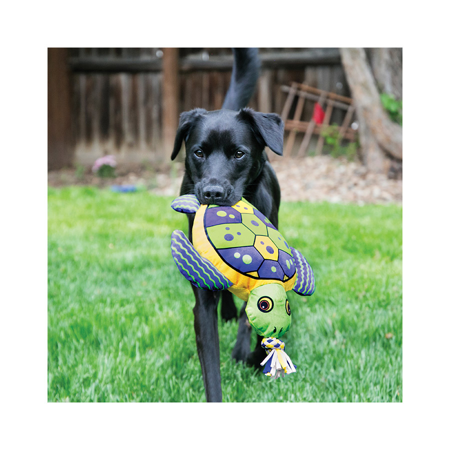 Brinquedo Kong para Cães Aloha Turtle Colorido