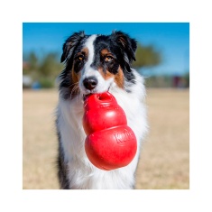 Brinquedo Kong para Cães Bounzer Vermelho