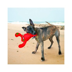 Brinquedo Kong para Cães Belly Flops Lobster Vermelho