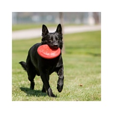 Brinquedo Kong para Cães Flyer Vermelho