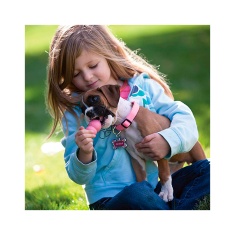 Brinquedo Kong para Cães Puppy Extra Pequeno - Cores Sortidas