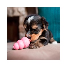 Brinquedo Kong para Cães Puppy Extra Pequeno - Cores Sortidas