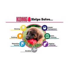 Brinquedo Kong para Cães Puppy Extra Pequeno - Cores Sortidas