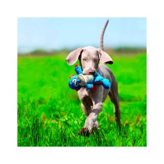 Brinquedo Kong para Cães Cross Knots Moneky Médio/Grande Azul