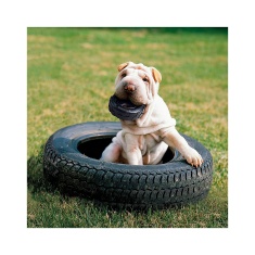 Brinquedo Kong para Cães Extreme Tires Preto