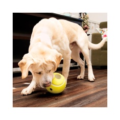 Brinquedo Kong para Cães Rewards Tennis Colorido - G