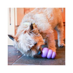 Brinquedo Kong para Cães Senior Roxo