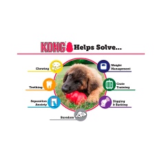 Brinquedo Kong para Cães Senior Roxo