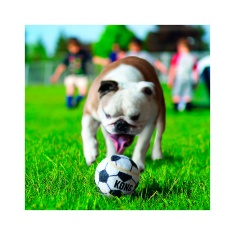 Brinquedo Kong para Cães Sport Ball - Cores Sortidas